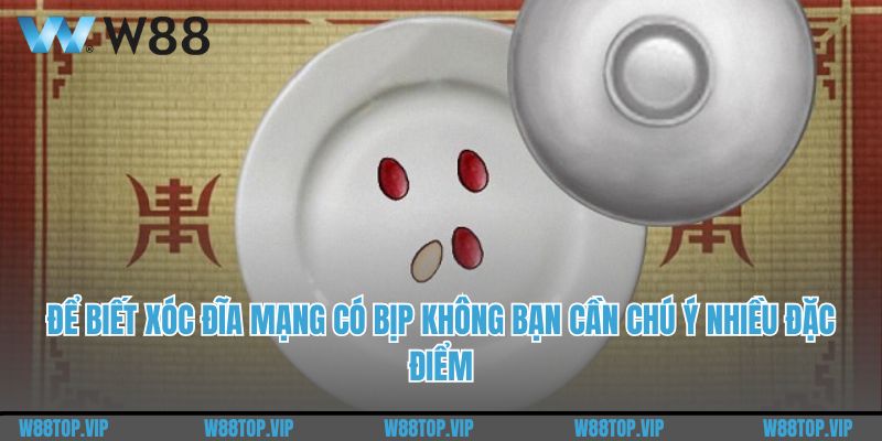 Để biết xóc đĩa mạng có bịp không bạn cần chú ý nhiều đặc điểm